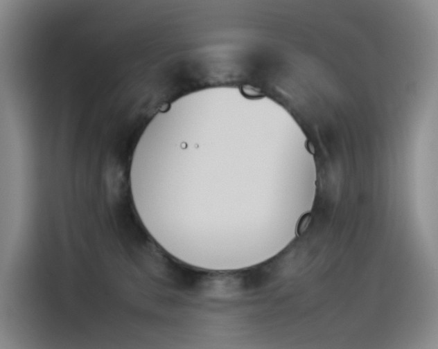 X0000114230327200910161617