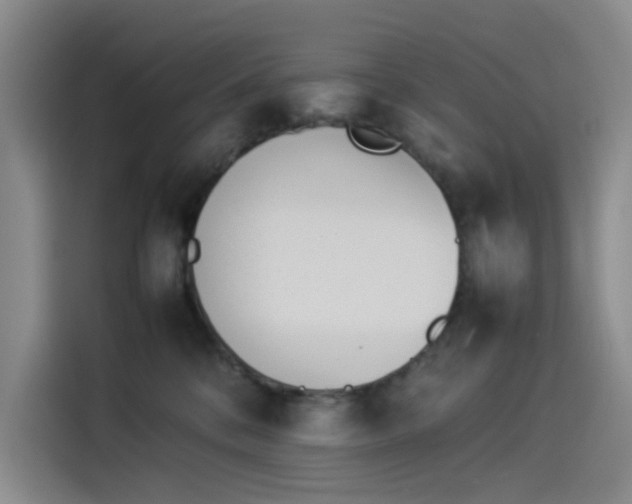 X0000114230328200910161617