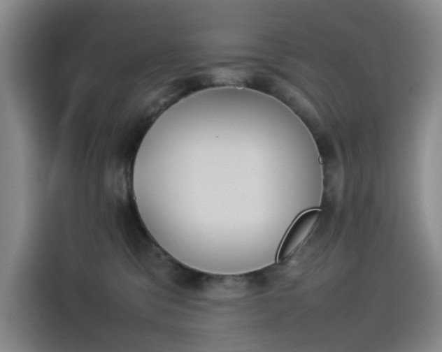 X0000114230329200910161617