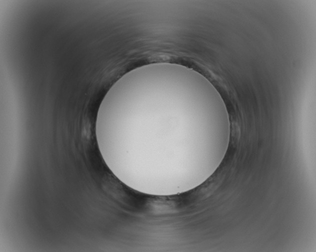 X0000114230331200910161616