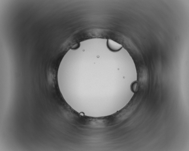 X0000114230332200910161616