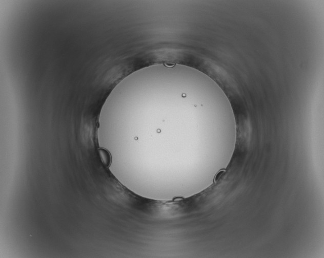 X0000114230333200910161616