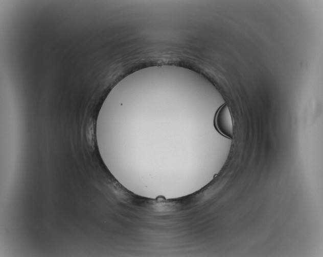 X0000114230336200910161616