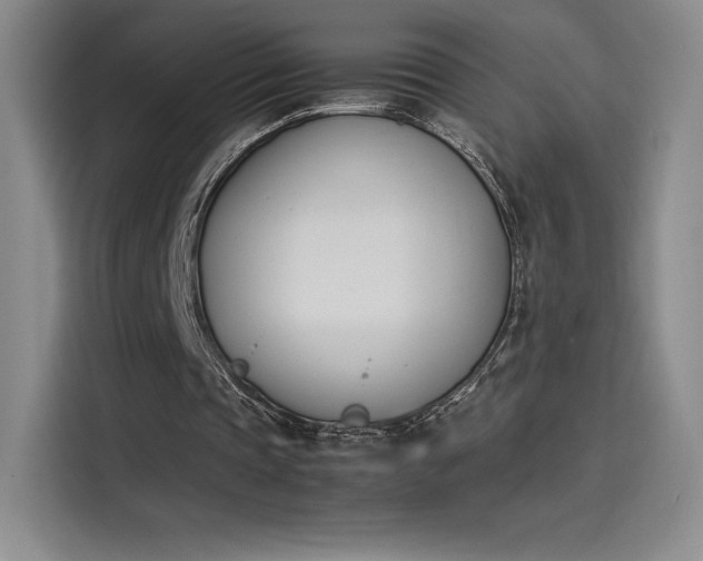 X0000114230337200910161616