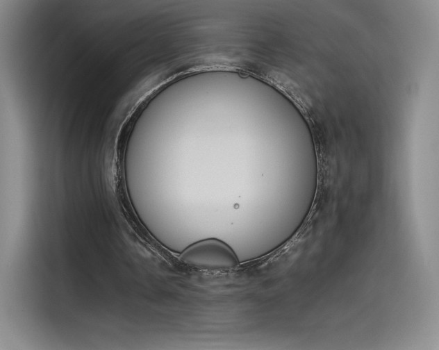 X0000114230338200910161616