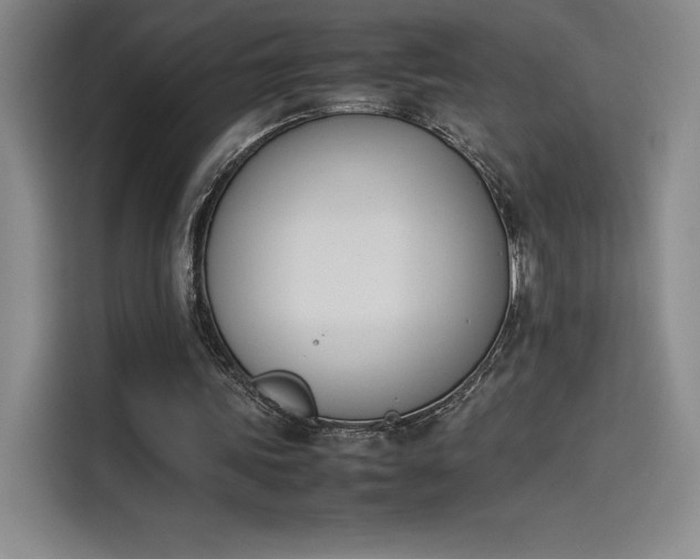 X0000114230339200910161616