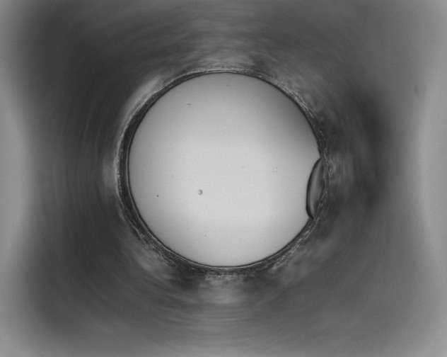 X0000114230340200910161616