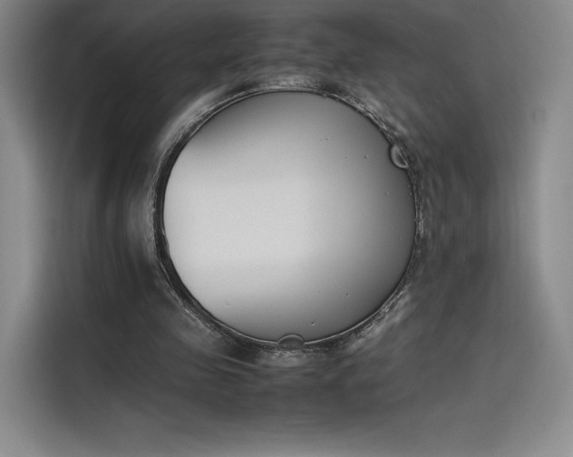 X0000114230341200910161616