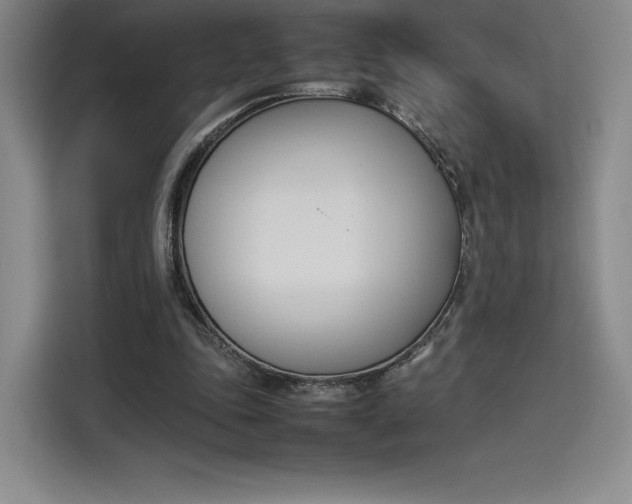 X0000114230343200910161616