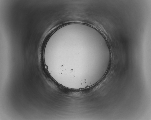 X0000114230344200910161616