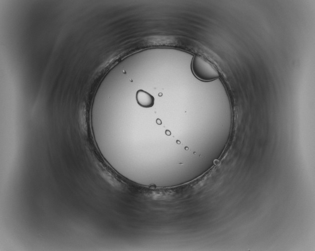 X0000114230345200910161616
