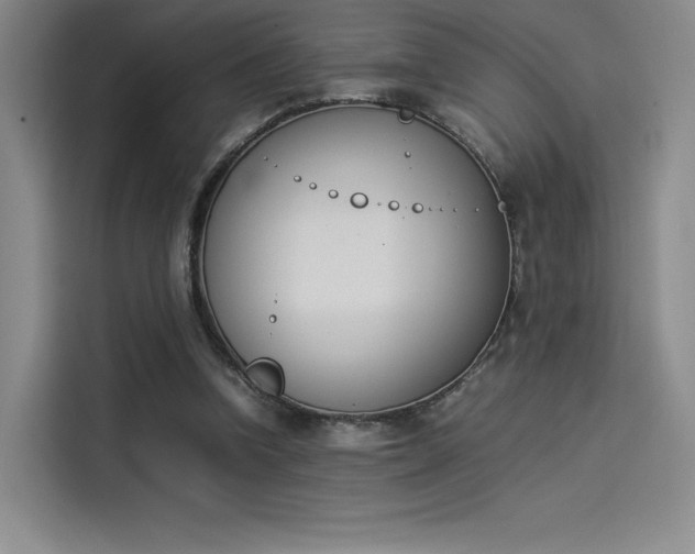 X0000114230346200910161616