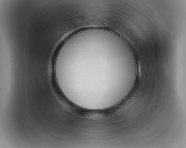 X0000114230348200910161616