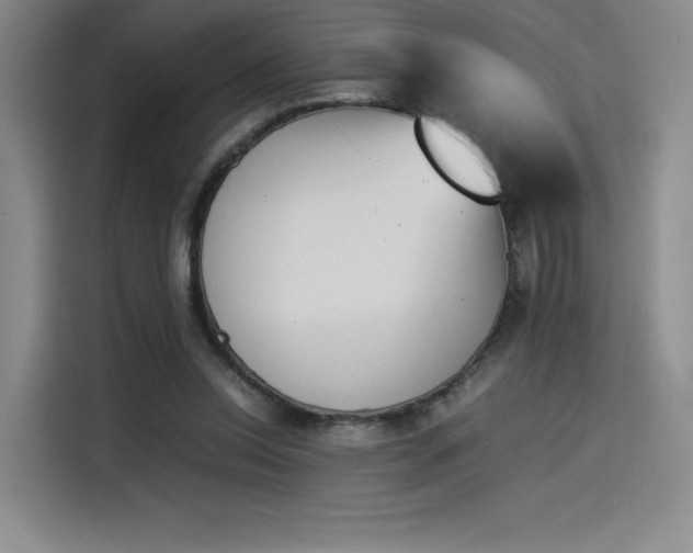 X0000114230350200910161616