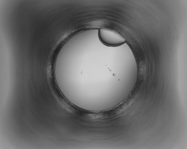 X0000114230351200910161616