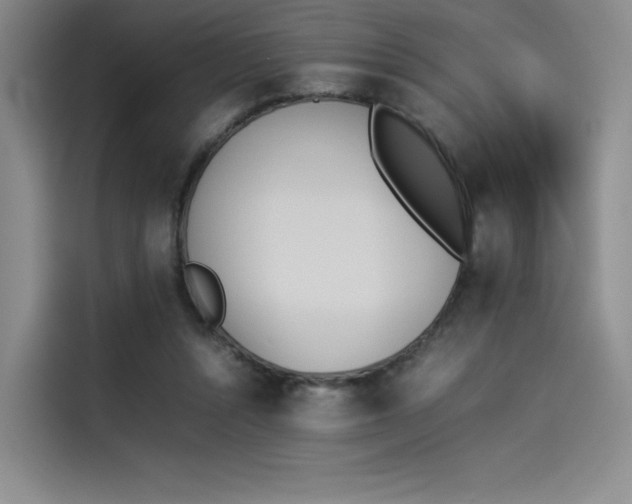X0000114230352200910161616