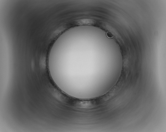 X0000114230353200910161616