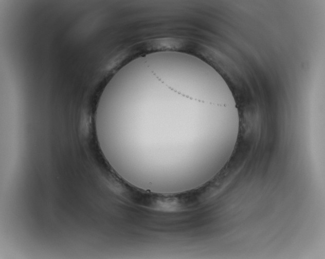 X0000114230355200910161616