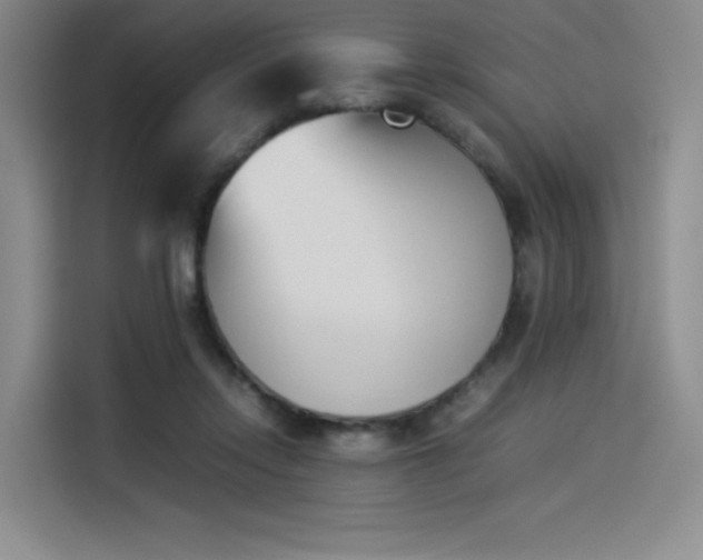 X0000114230358200910161616