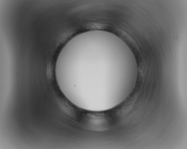 X0000114230359200910161616