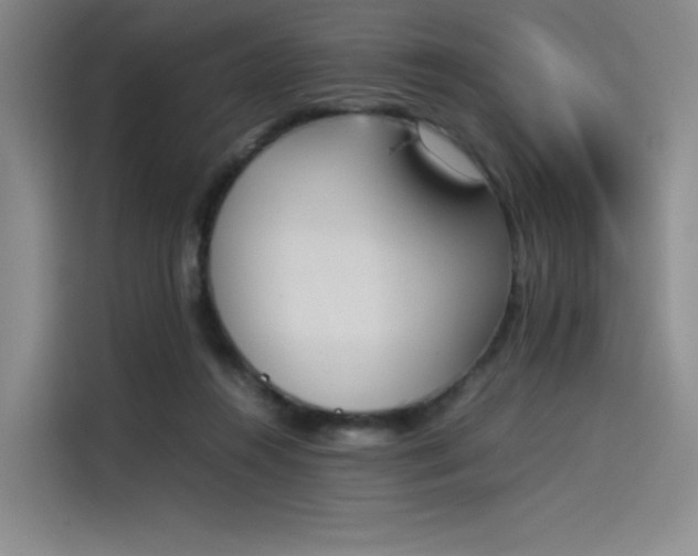 X0000114230360200910161616
