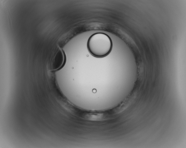 X0000114230361200910161616