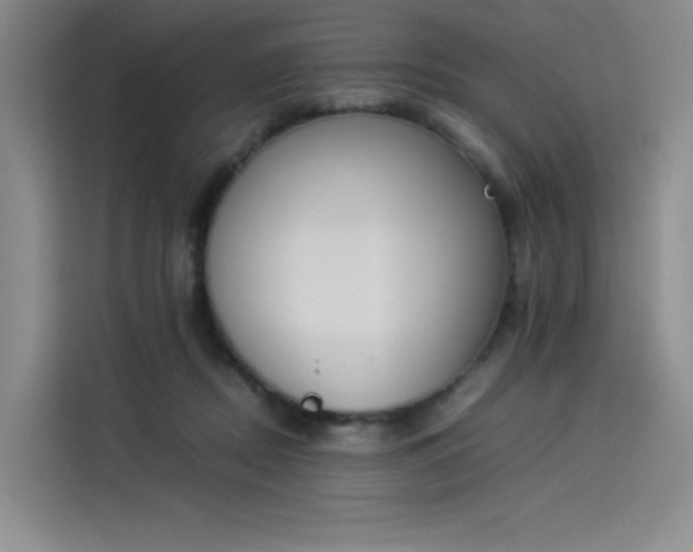 X0000114230362200910161616