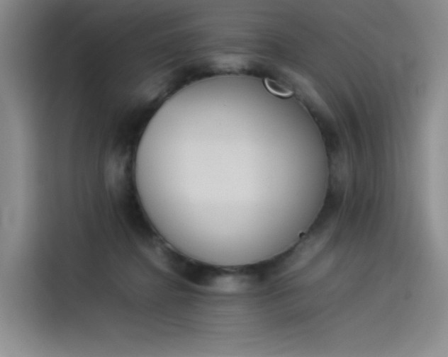 X0000114230364200910161616