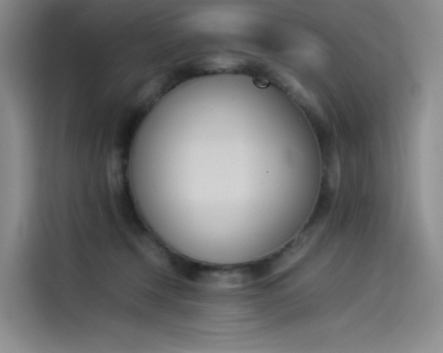 X0000114230366200910161616