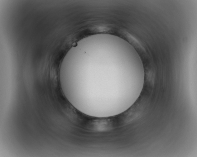 X0000114230373200910161616