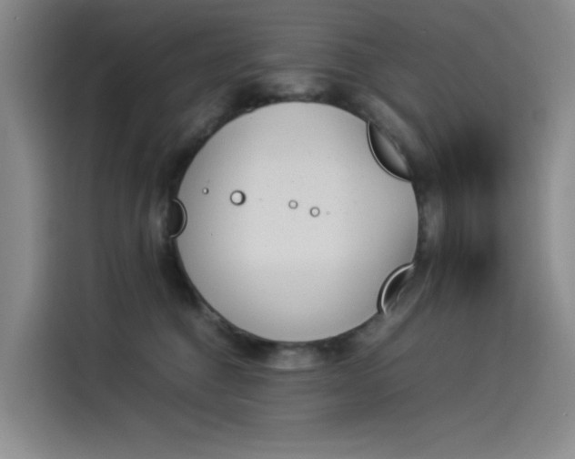 X0000114230376200910161616