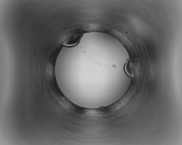 X0000114230380200910161616