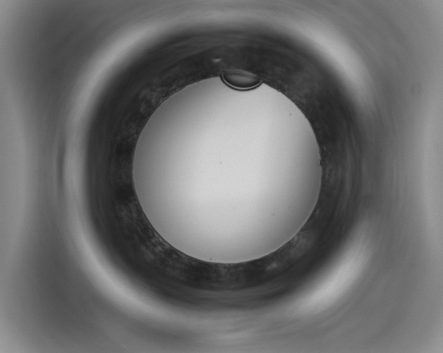 X0000114230383200910161616