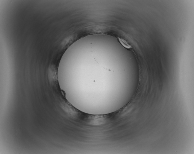 X0000114230384200910161616