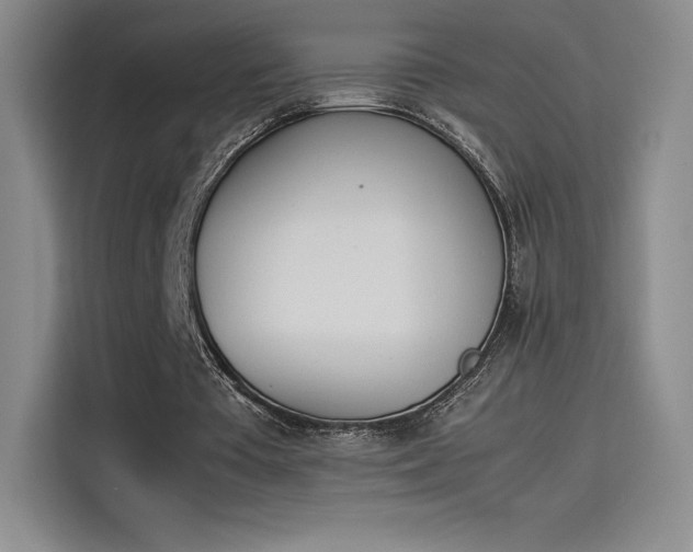 X0000114230385200910161616