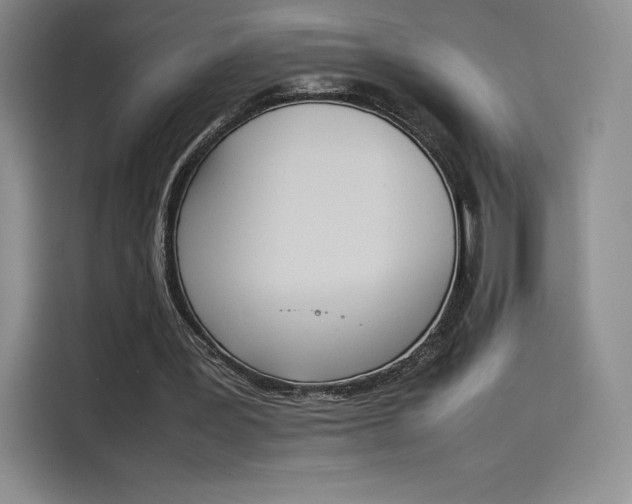 X0000114230387200910161616