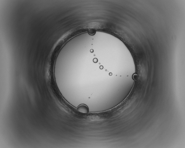 X0000114230392200910161616