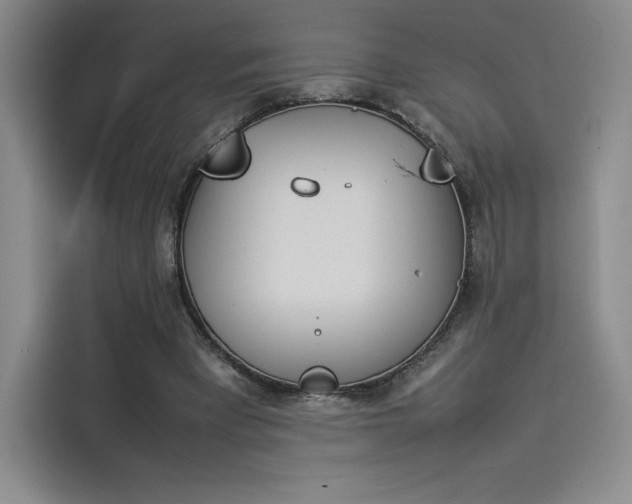 X0000114230393200910161616