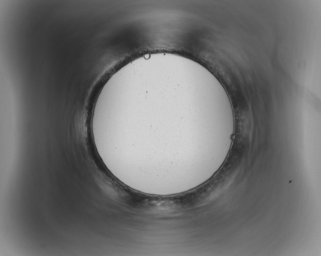X0000114230395200910161616