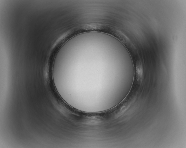 X0000114230396200910161615