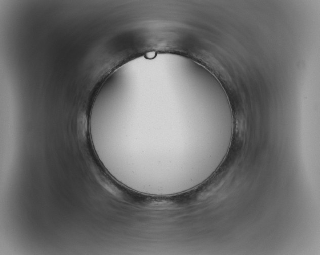 X0000114230397200910161615