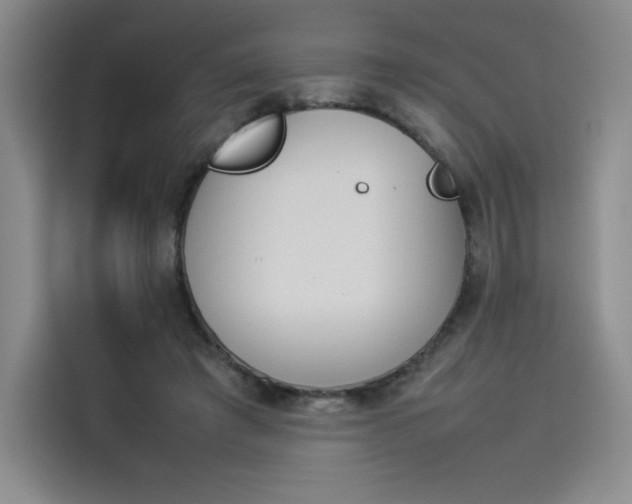 X0000114230401200910161615