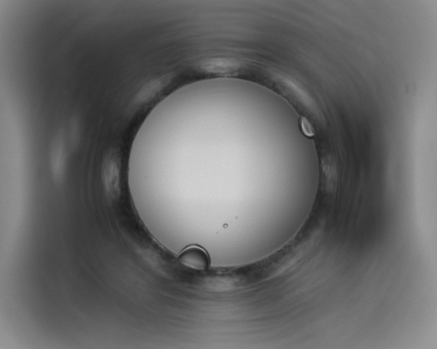 X0000114230404200910161615