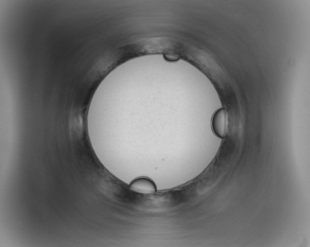X0000114230405200910161615