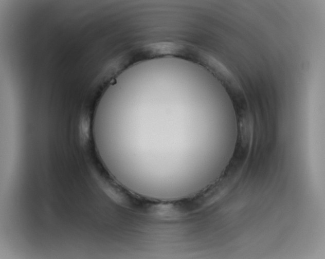 X0000114230406200910161615