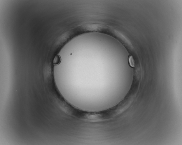 X0000114230407200910161615