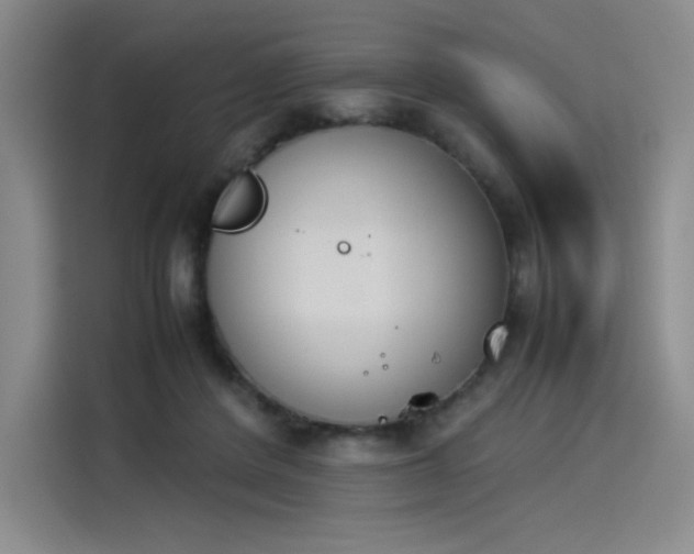 X0000114230408200910161615