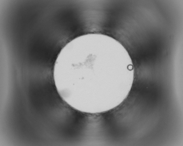 X0000114230415200910161615