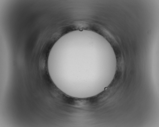 X0000114230417200910161615