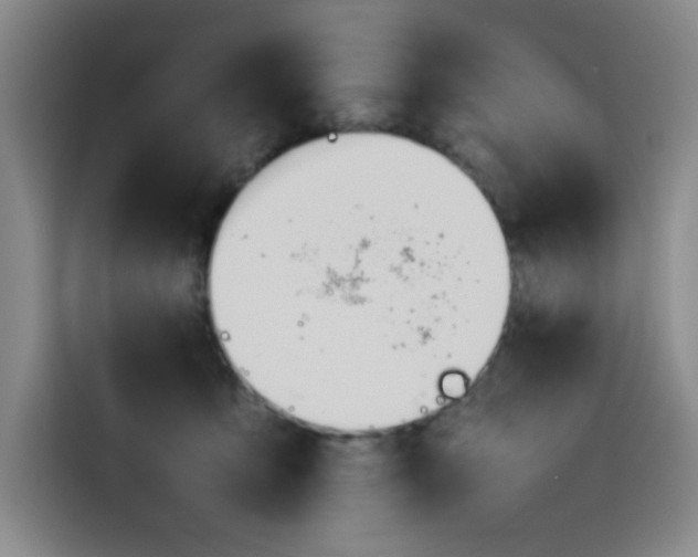 X0000114230419200910161615